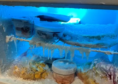 ComedyCentral - XMAS Campaign