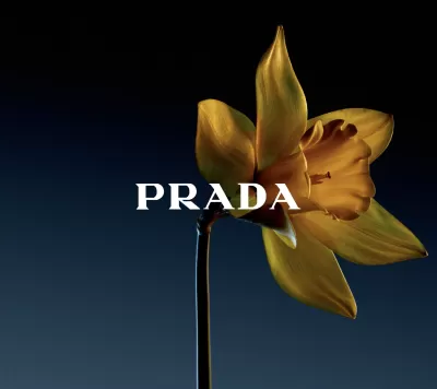 Prada - Flowers store windows